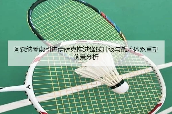 阿森纳考虑引进伊萨克推进锋线升级与战术体系重塑前景分析 | kaiyun